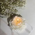 Vela peony